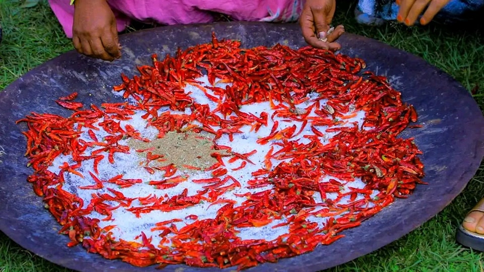 504427402 1023360853318710 7714573826734628412 n